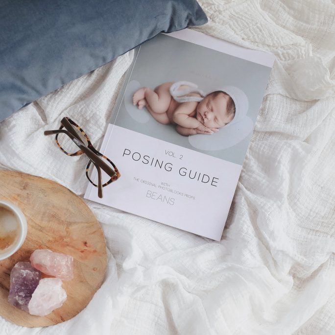 The E.Tole Prop Pillow The Original Photoblocks Props