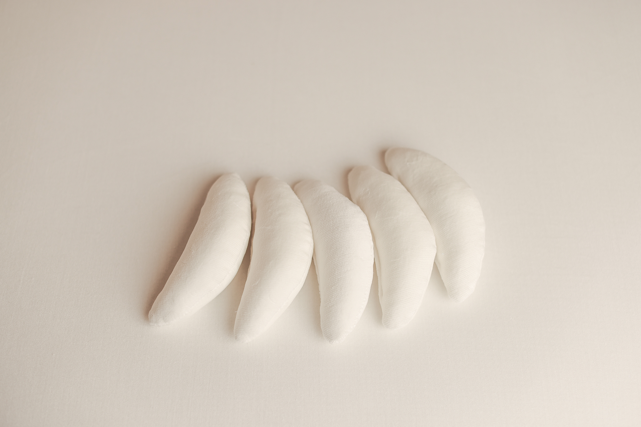 Fine Tuning Beans - White