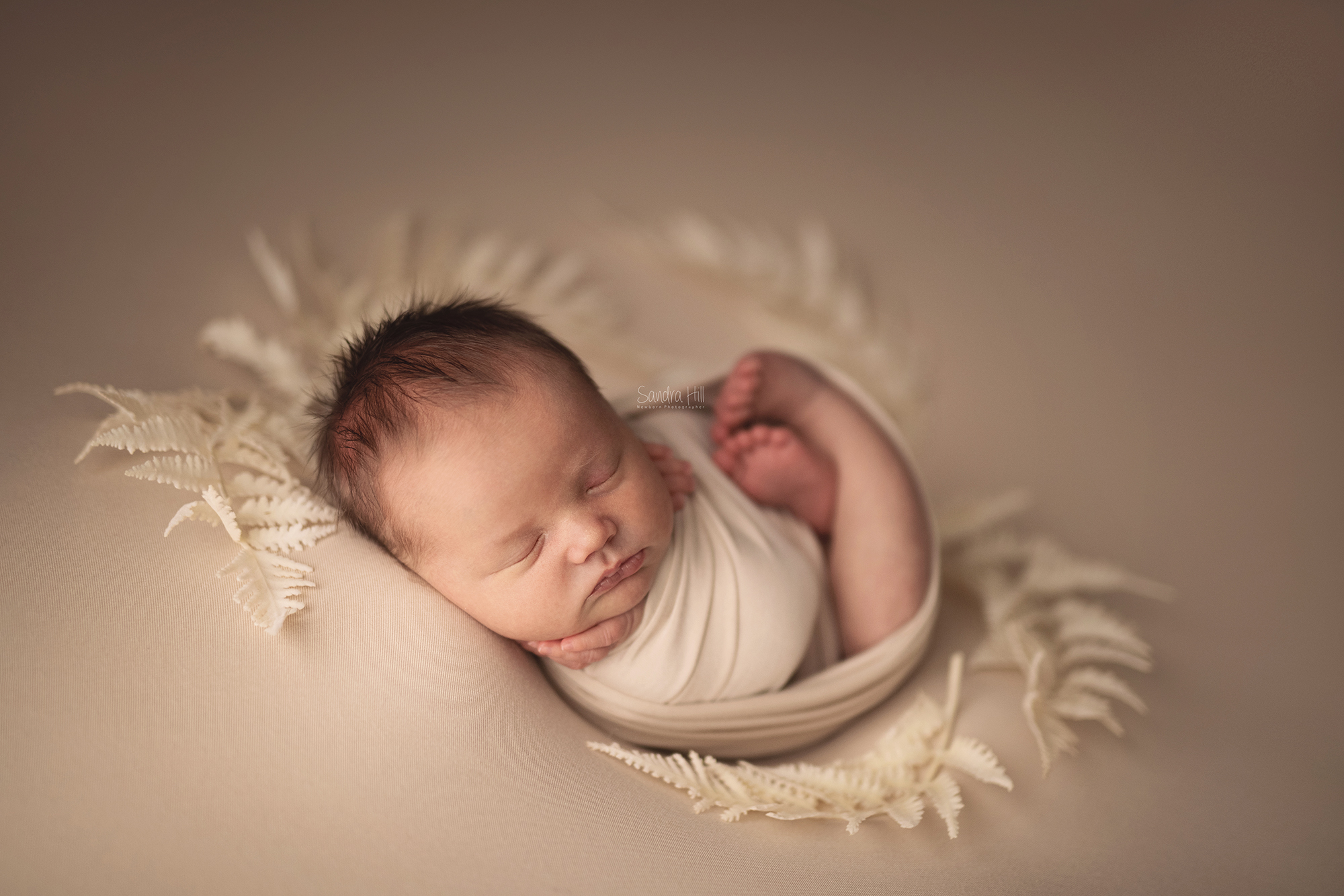 LATTE natural fiber SET