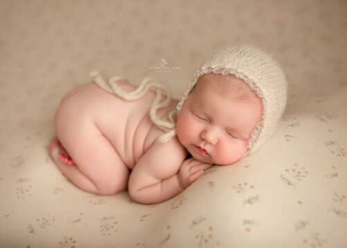 MINI DAISY backdrop