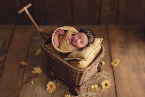 Baby Cart WALNUT - Image 2