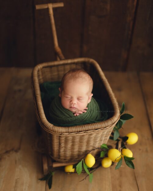Baby Cart WALNUT - Image 5