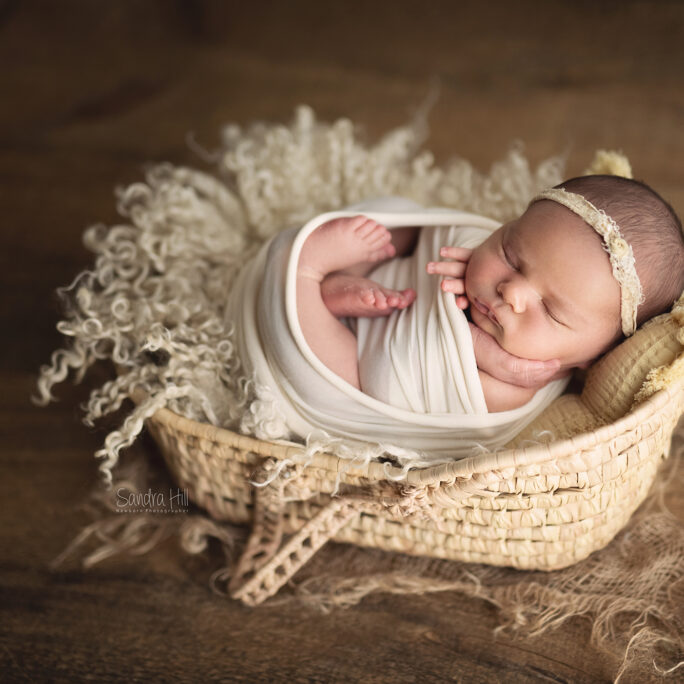 Moses Basket SMALL