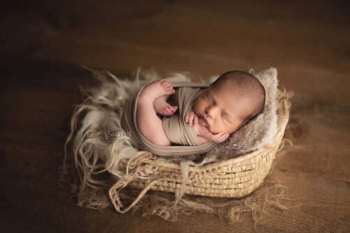 The Little Moses Basket