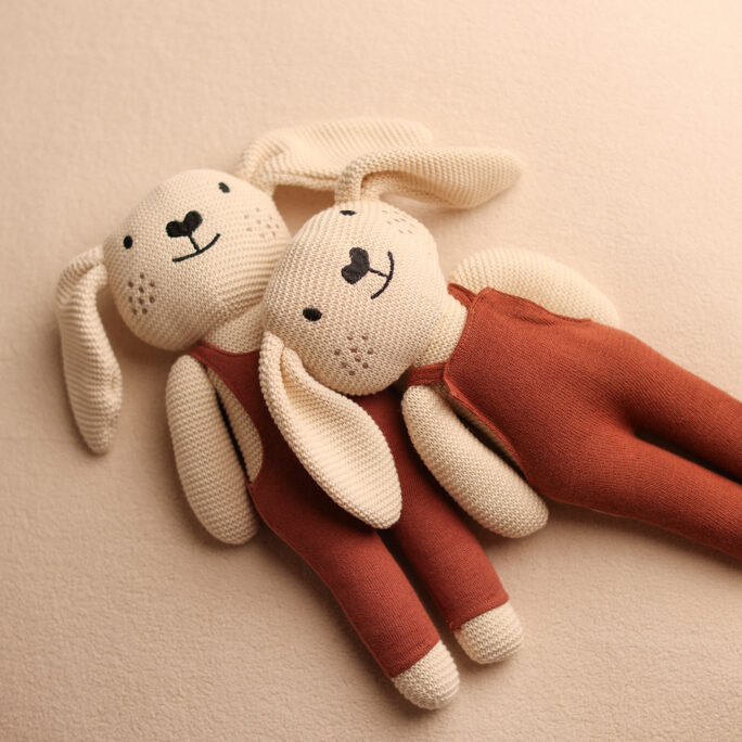 Little Hug Bunny