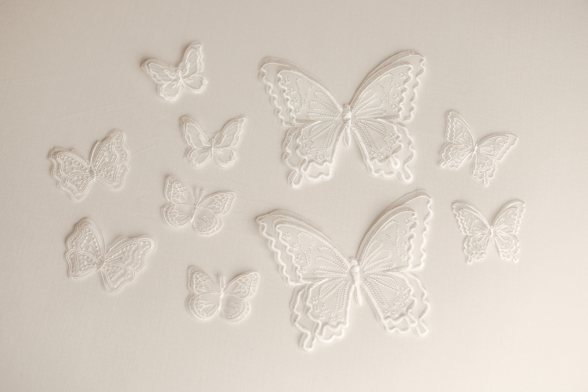 lace butterflies