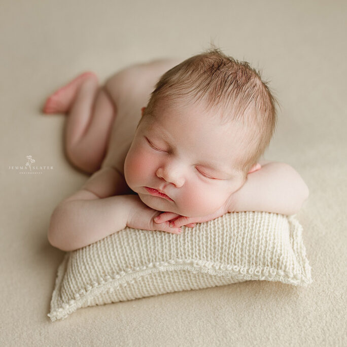 COZY TEDDY BACKDROP - SAND