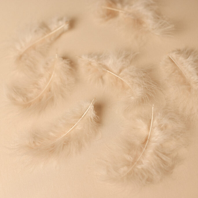 1 LATTE Feather