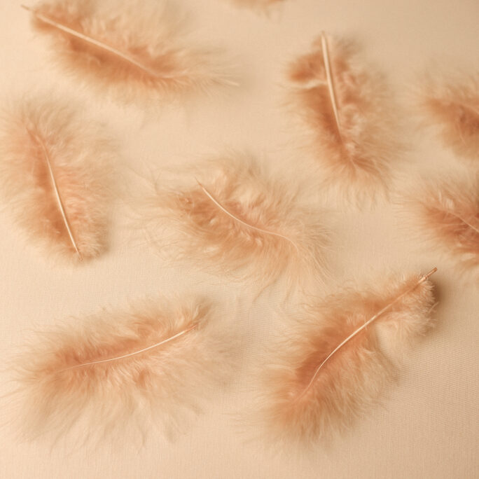 1 CAPPUCINO Feather