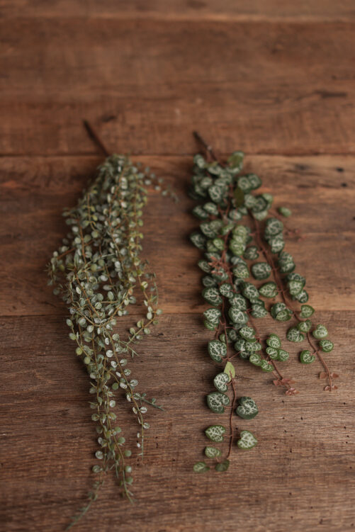 Long hanging greenery