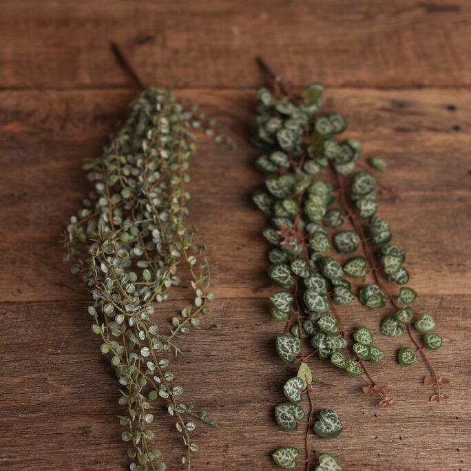 Long hanging greenery