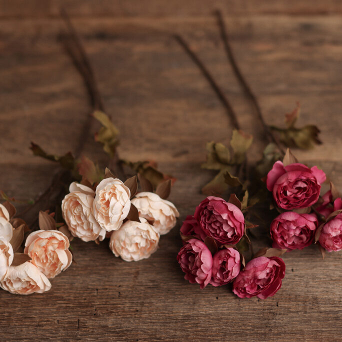 Roses