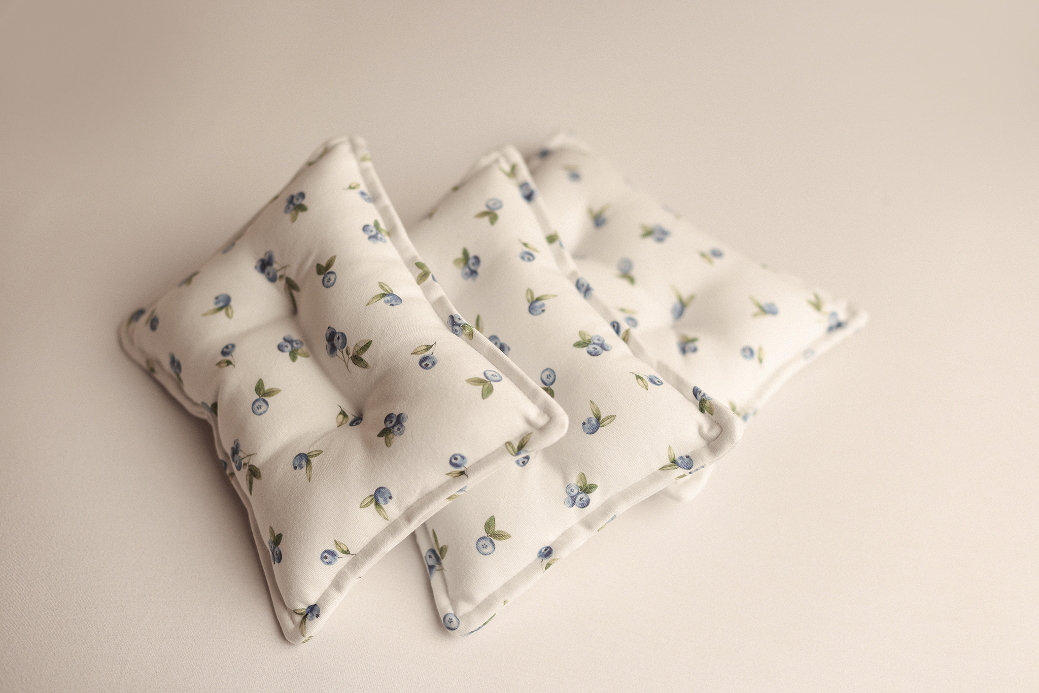 Blueberries pillow