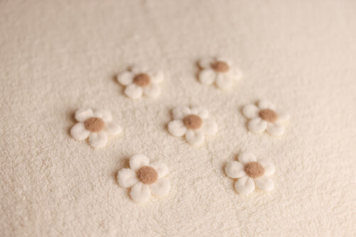 set of 5 FELT flowers
