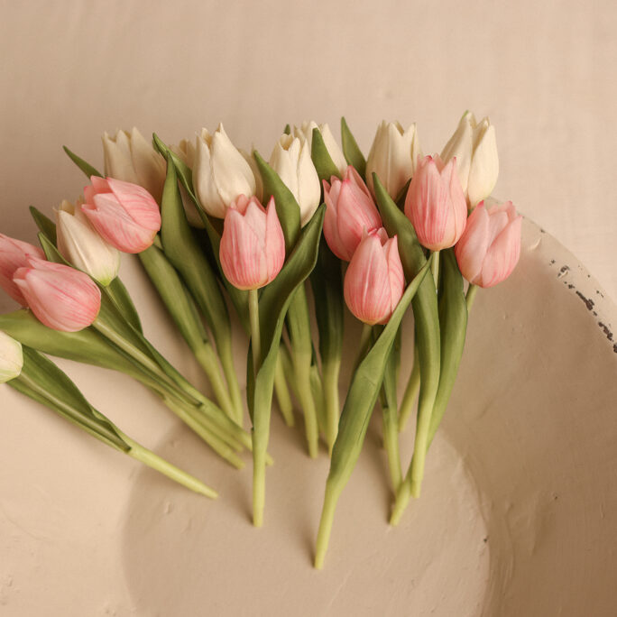 Small TULIP