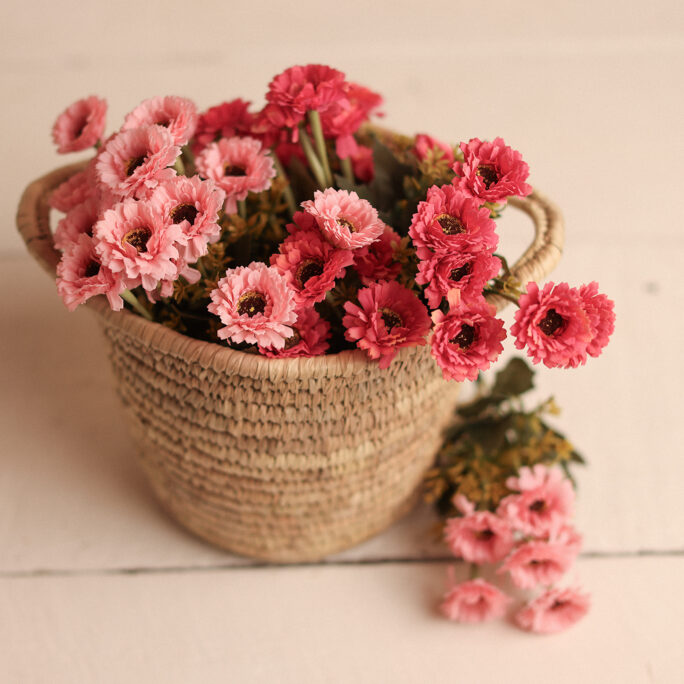 MEADOW DAISIES
