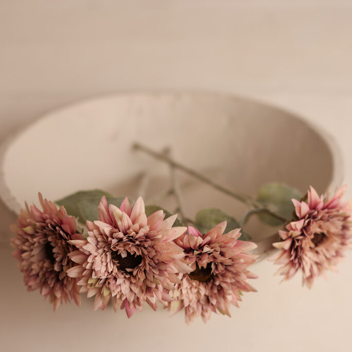 Pink Sunflowers