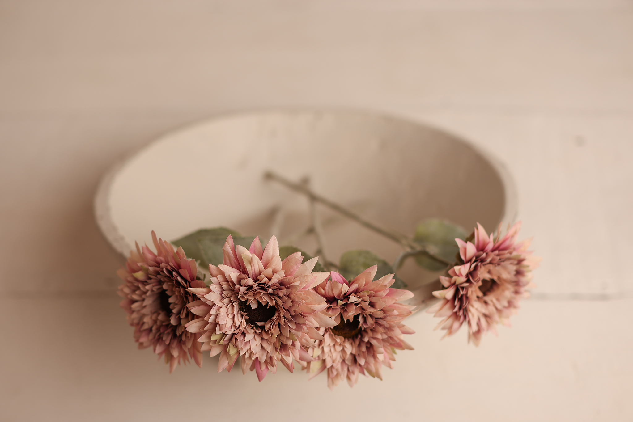 Pink Sunflowers