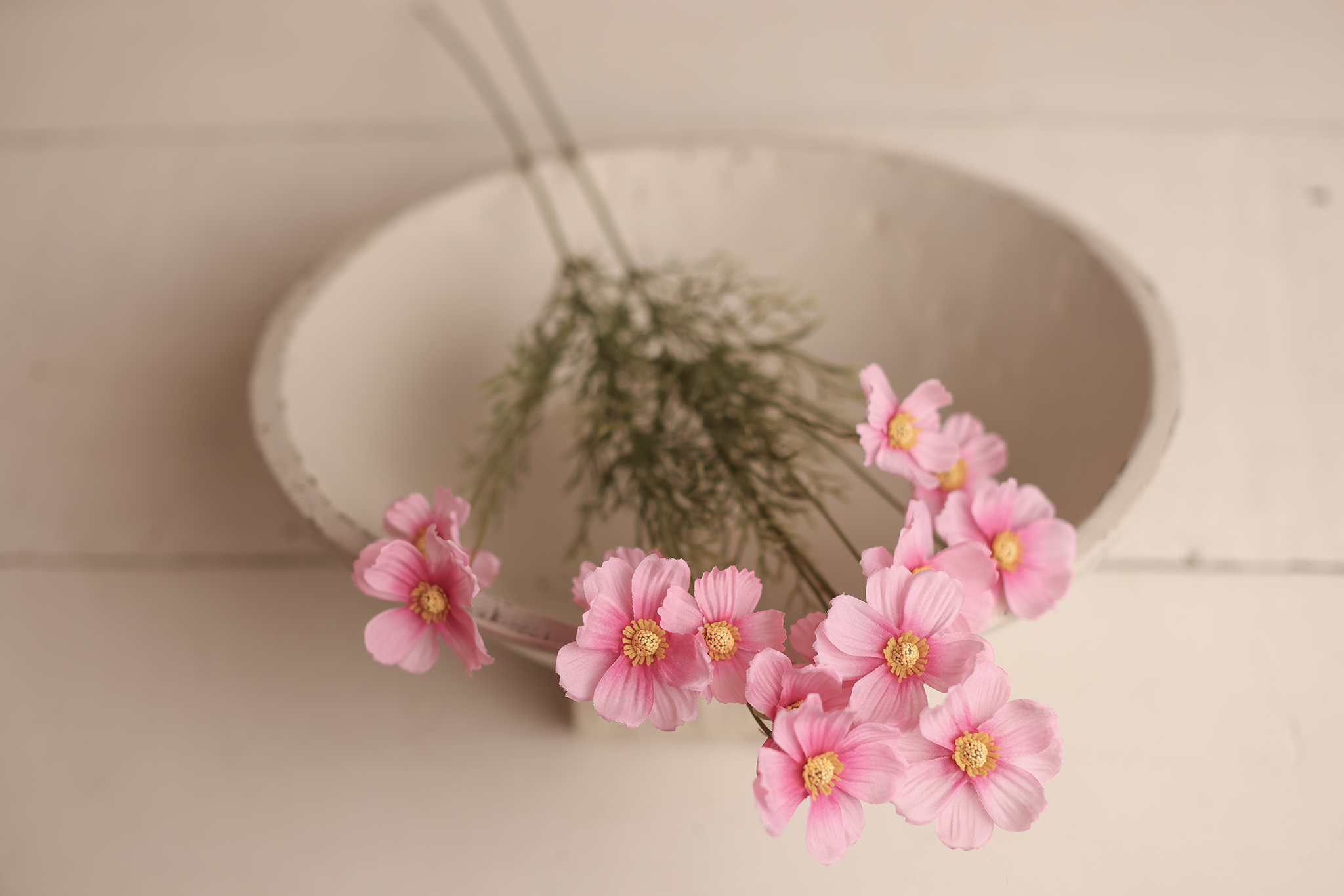 Flower - PINK Cosmos