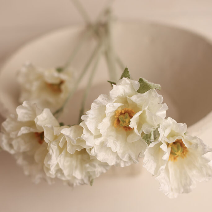 Iceland Poppy Stems – WHITE
