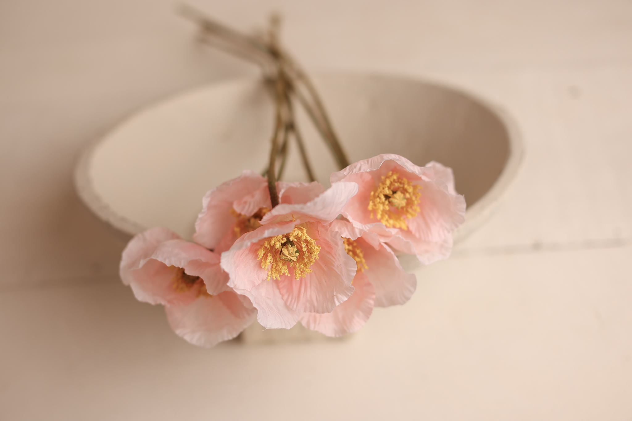 Iceland Poppy Stems – SOFT PINK