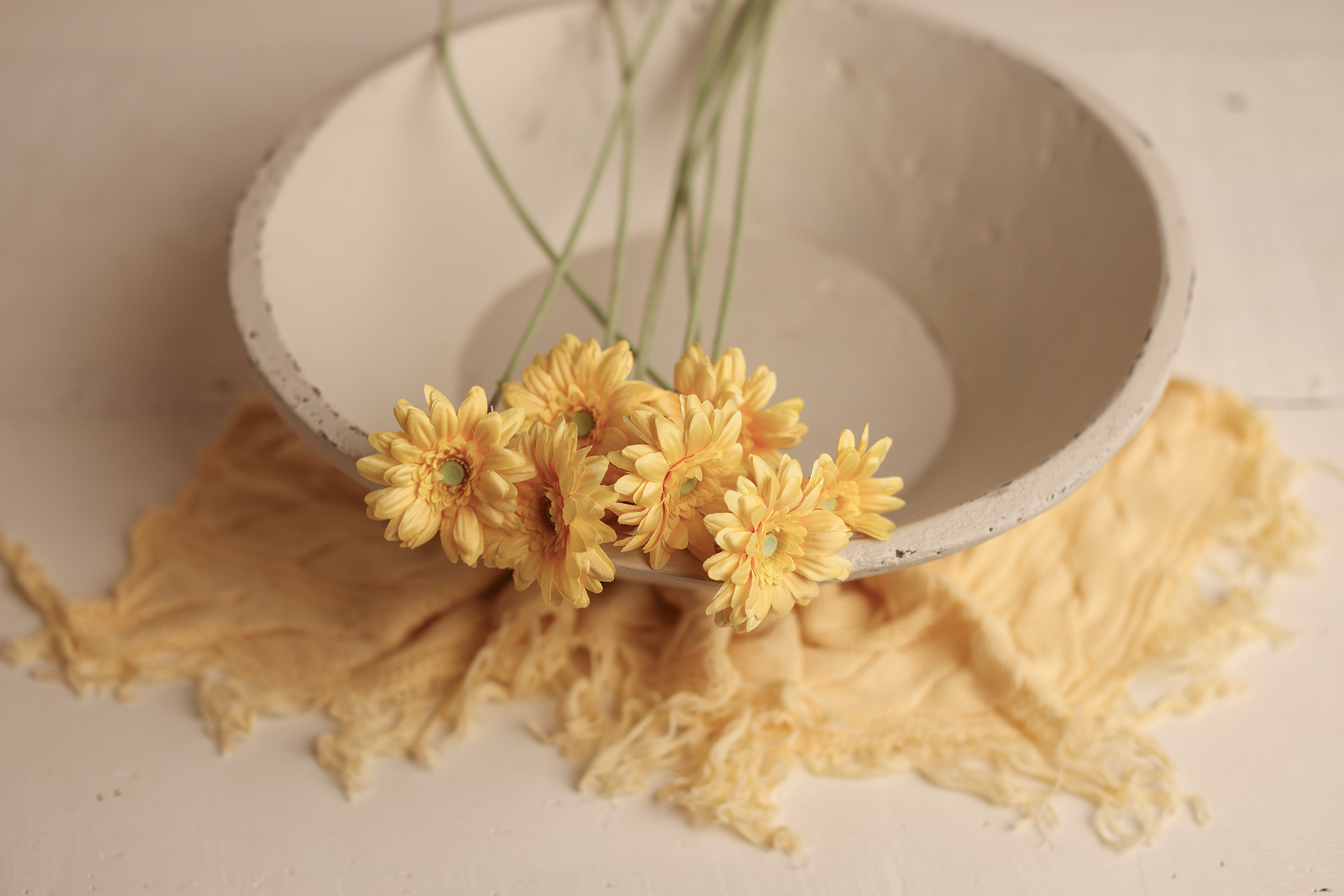 Small Gerberra - Soft Yellow