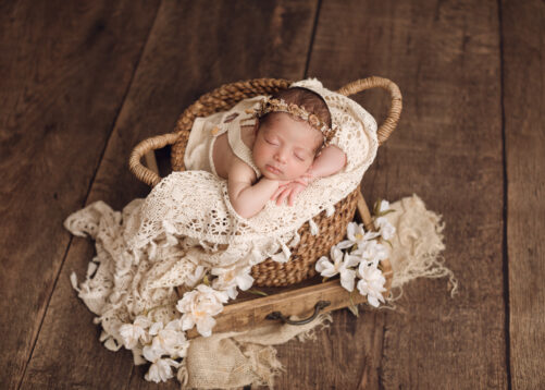 The Chestnut Twist Basket