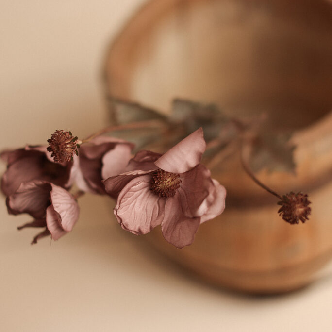MAUVE Poppy