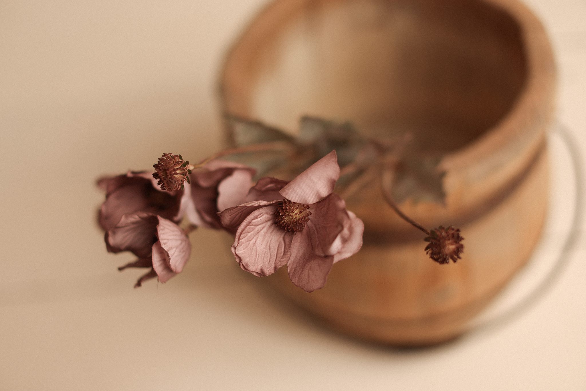 MAUVE Poppy