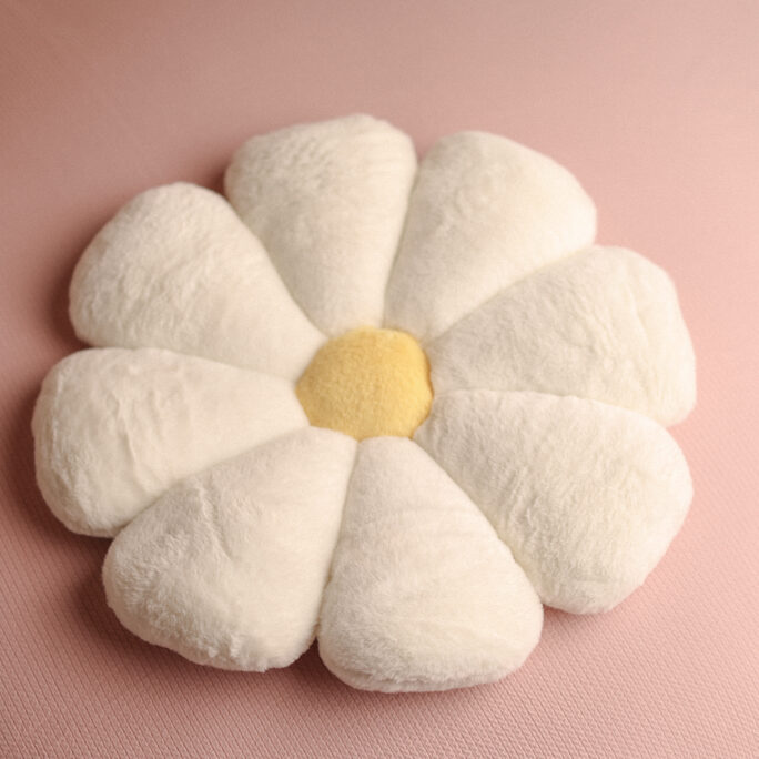 DAISY DREAM Pillow