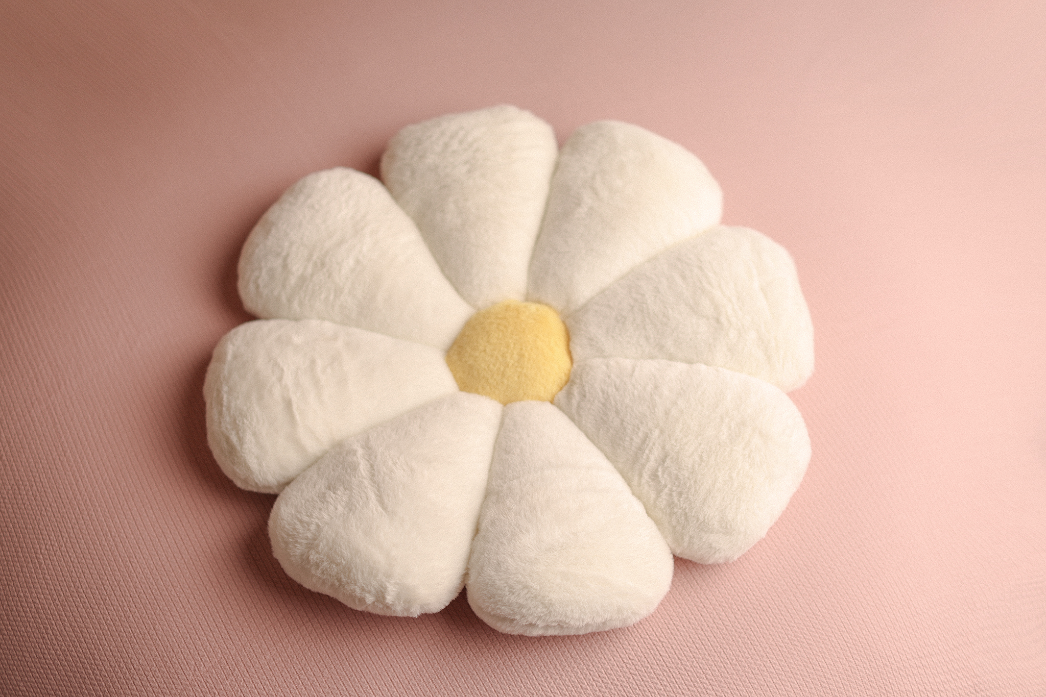 DAISY DREAM Pillow