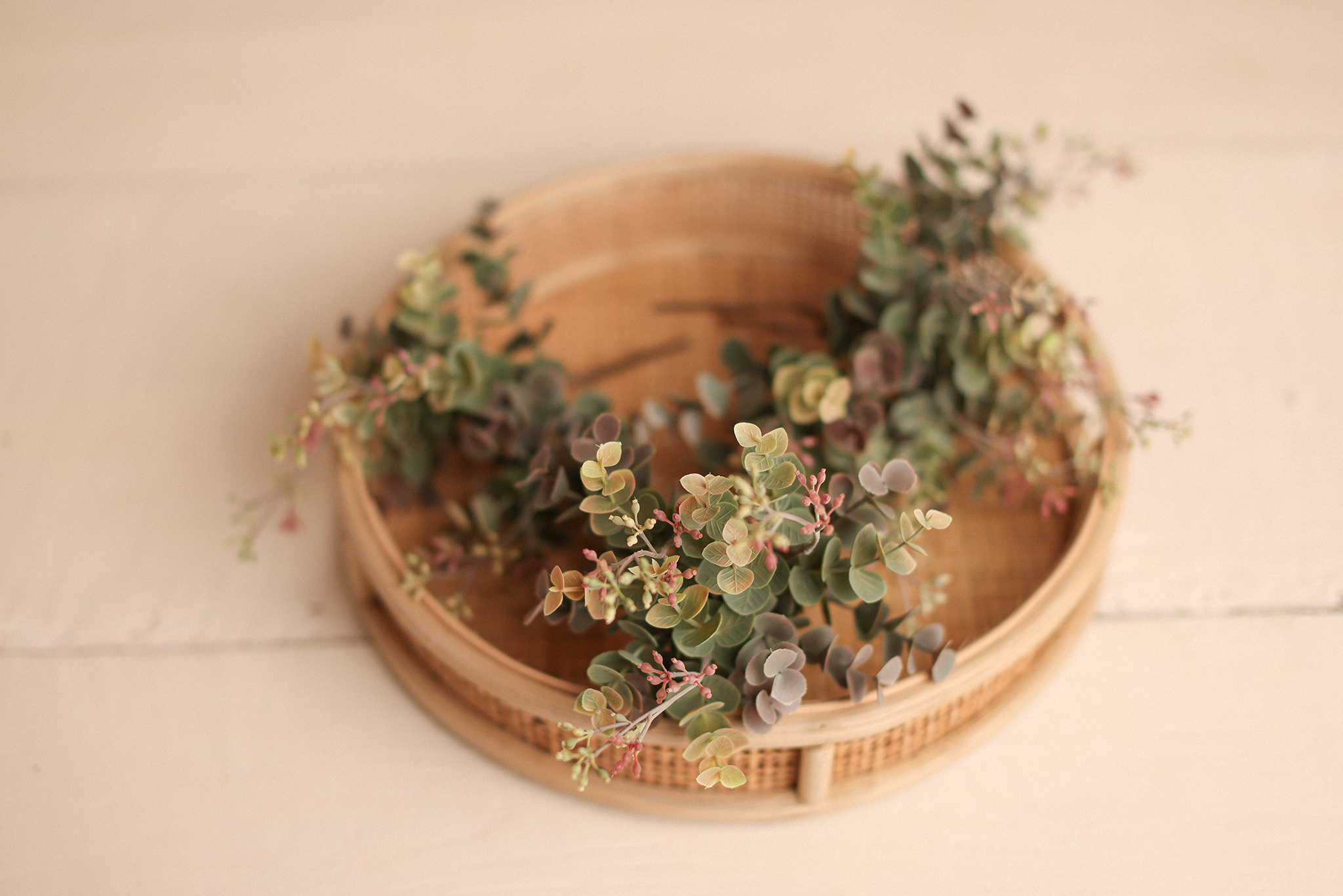 Small Green eucalyptus with touch of pink