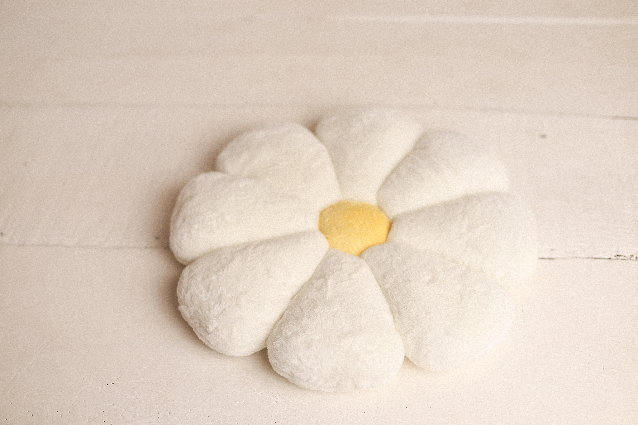 DAISY DREAM Pillow