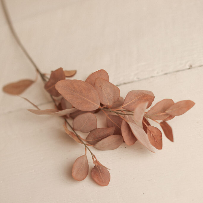 Cinnamon Blush Stem