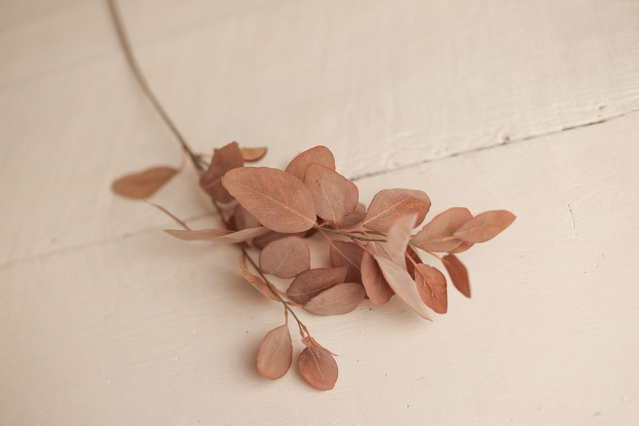 Cinnamon Blush Stem