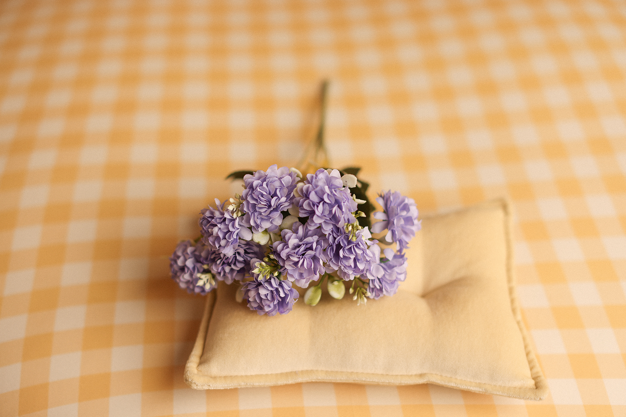 Lilac Bush