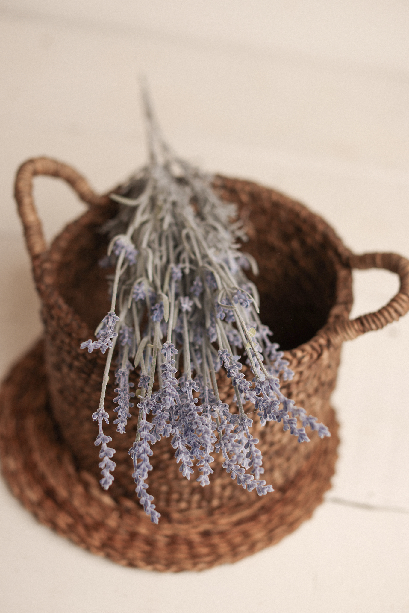 French Lavender
