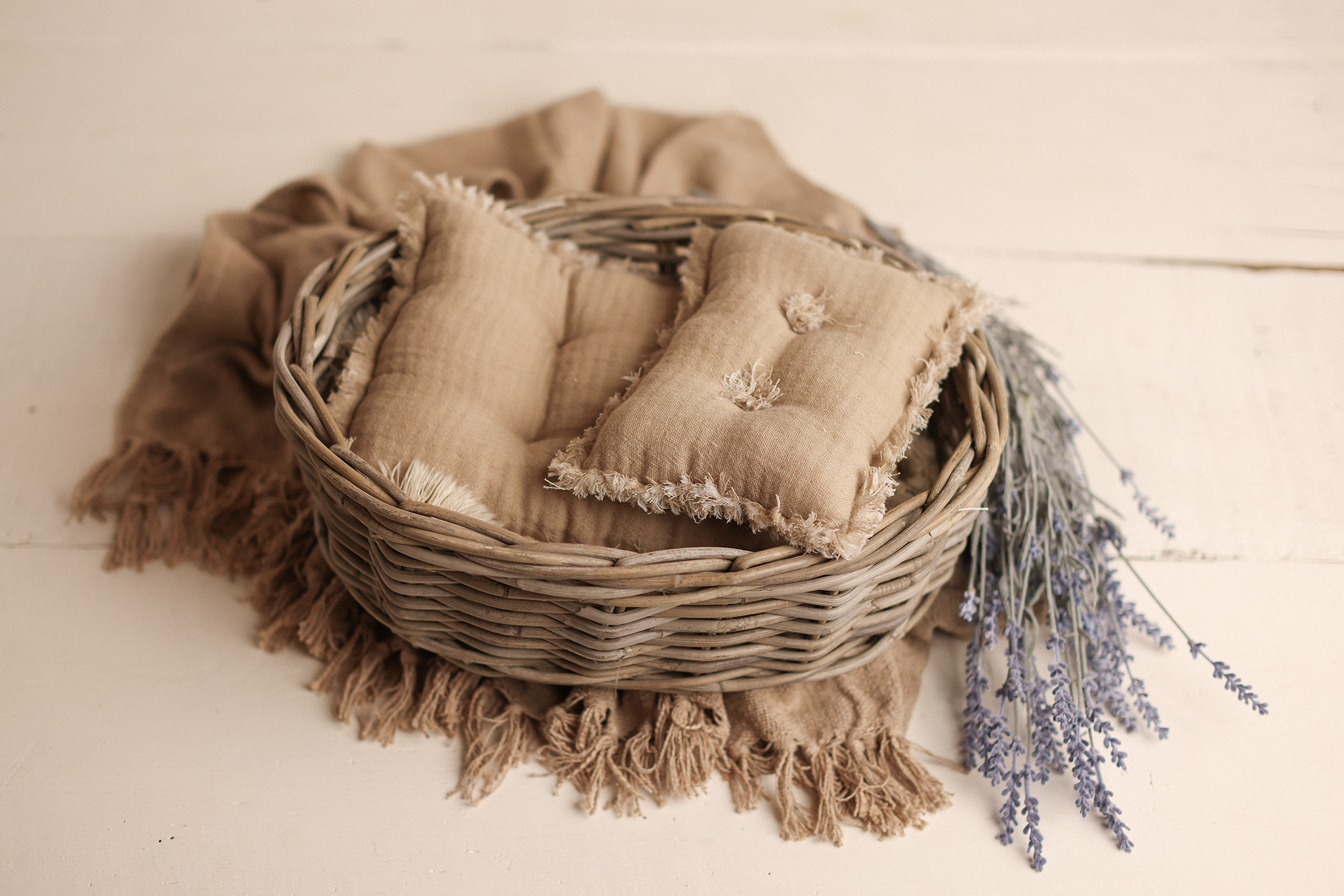 The Oval Willow NEST