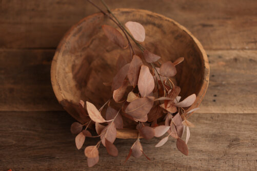 Cinnamon Blush Stem