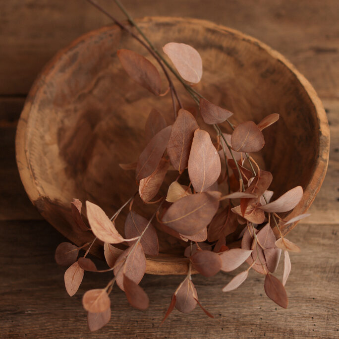 Cinnamon Blush Stem