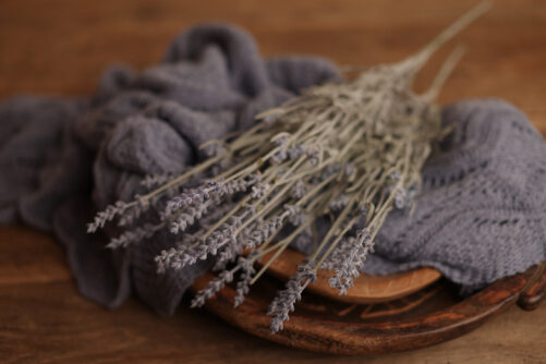 French Lavender