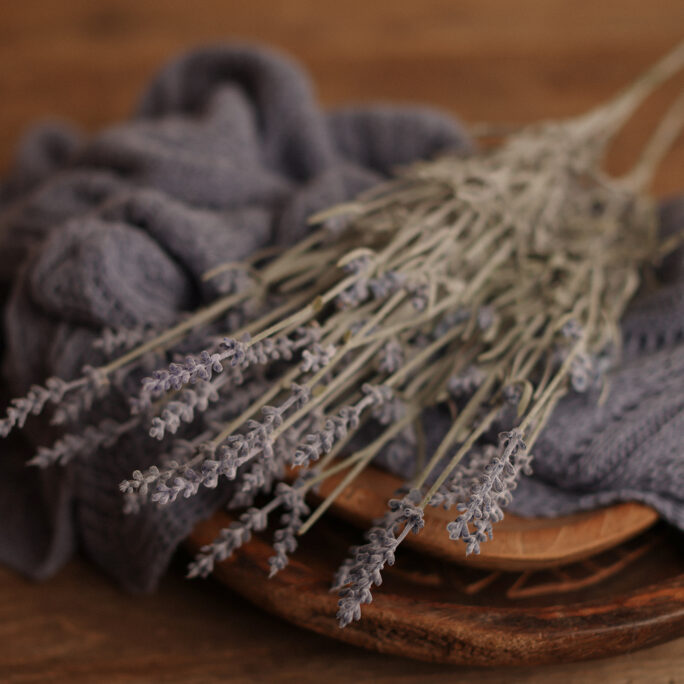 French Lavender