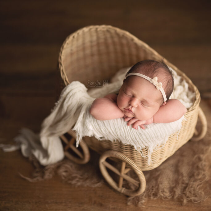 Emmy Stroller