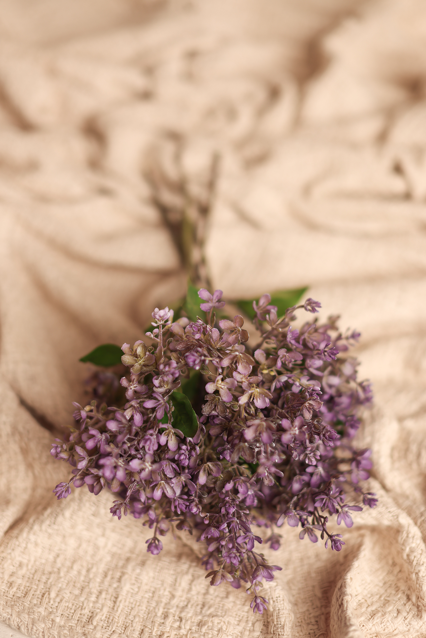 Whisper of Lilac