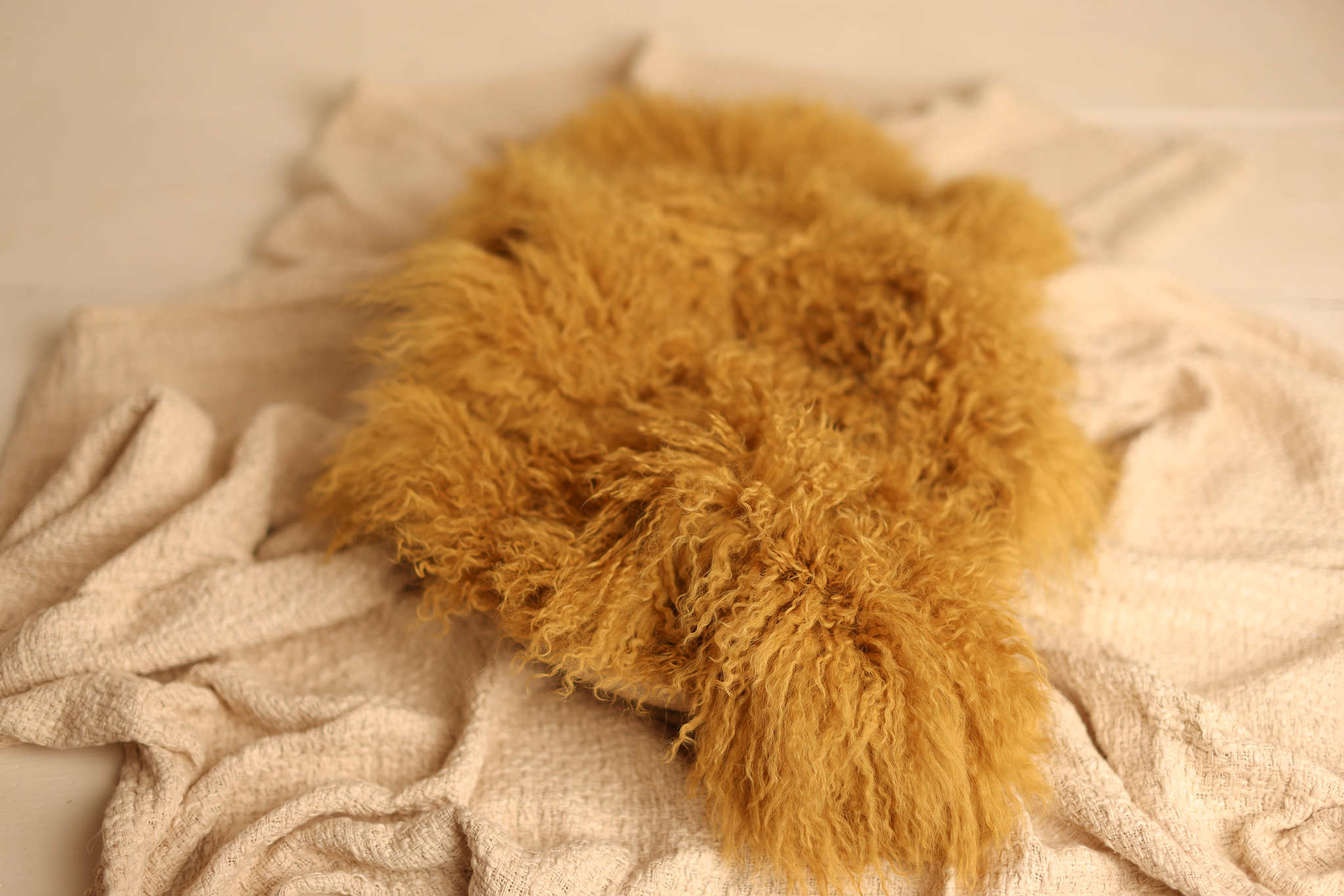 GOLDEN HONEY - FUR