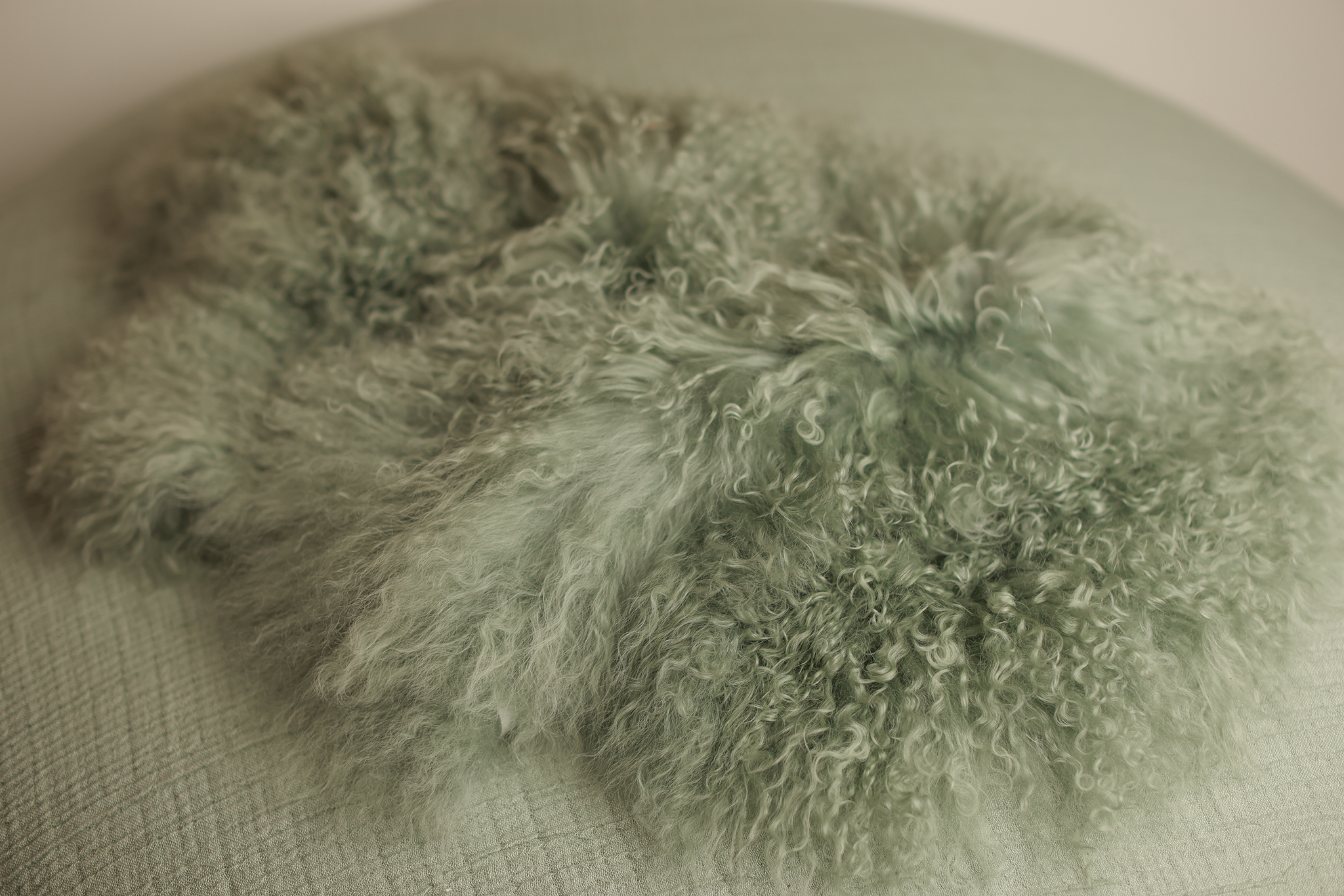 XL MINT fur