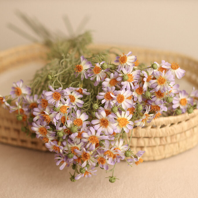 delicate Daisies -Lila