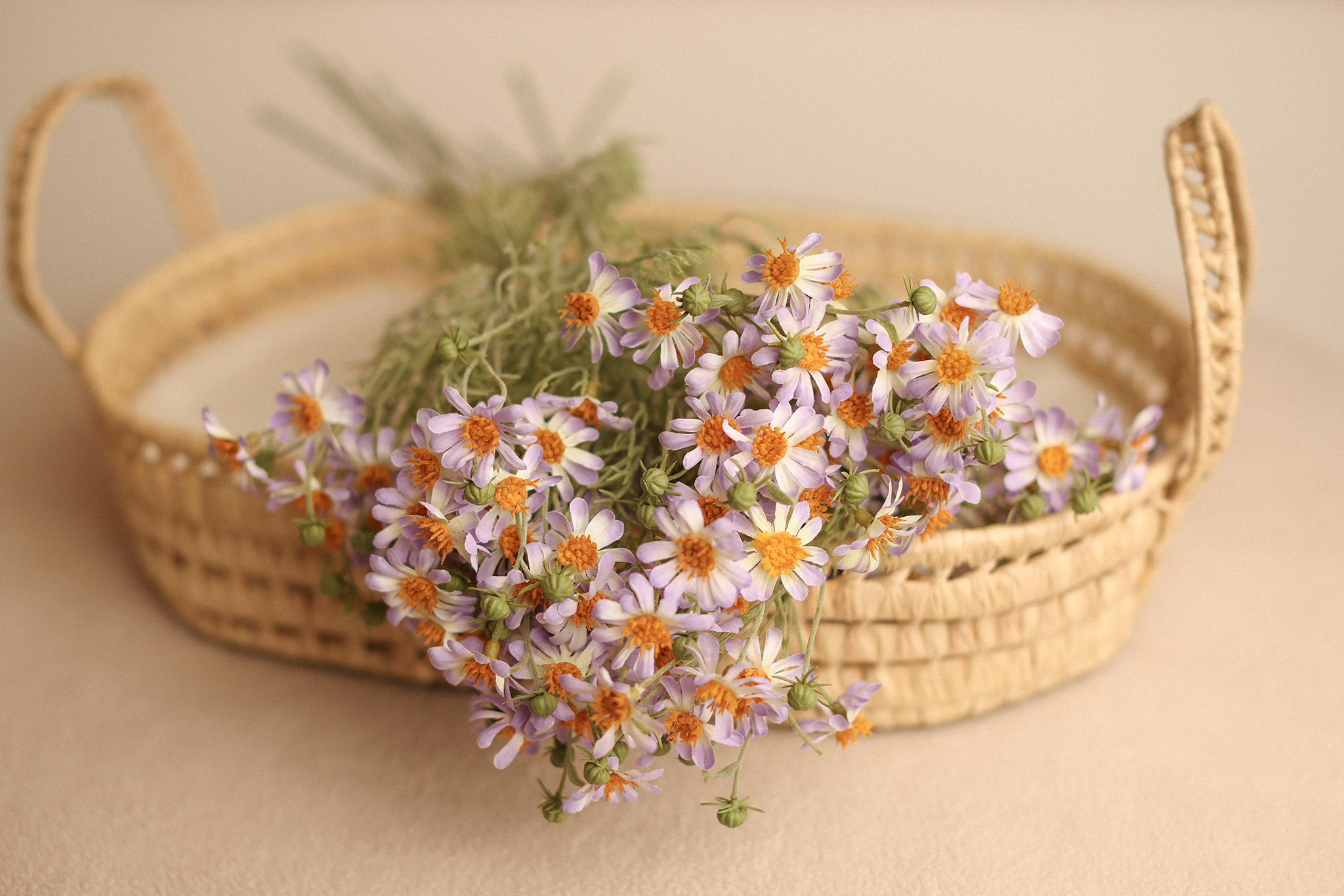 delicate Daisies -Lila