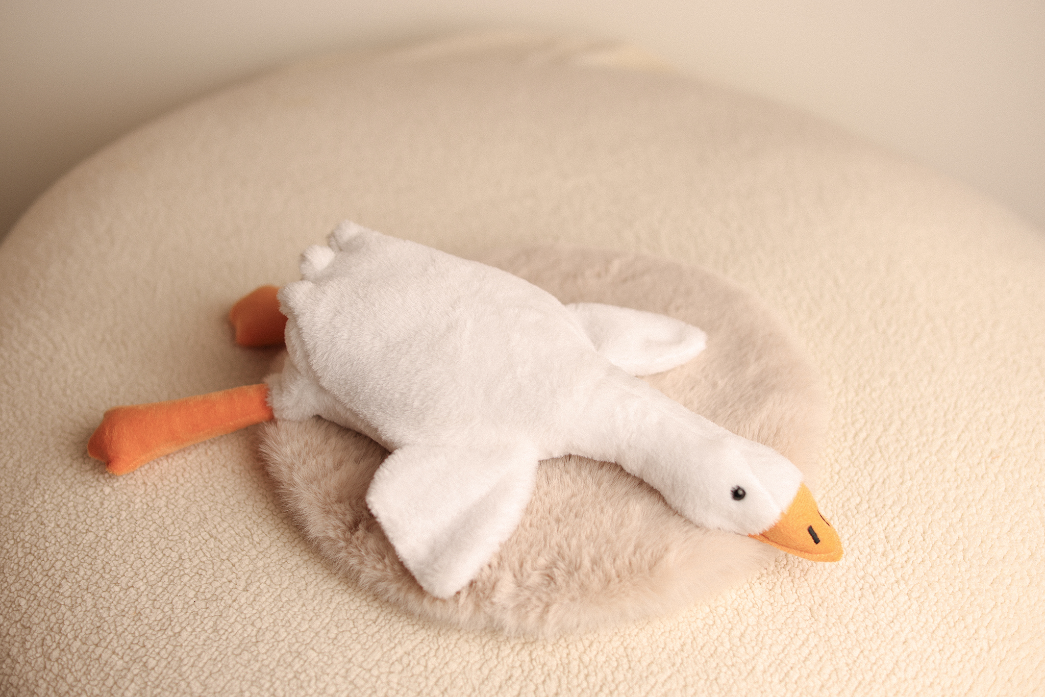 Medium DUCK
