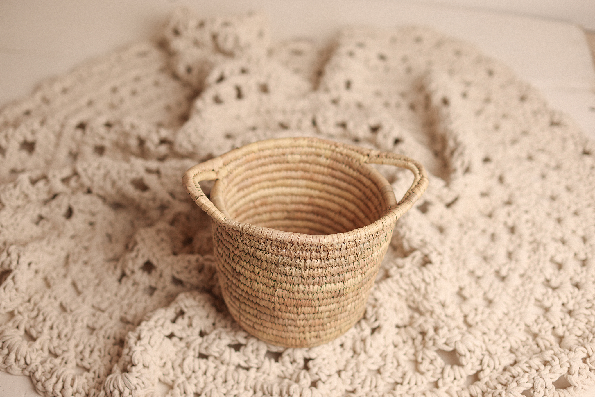 COZY Basket